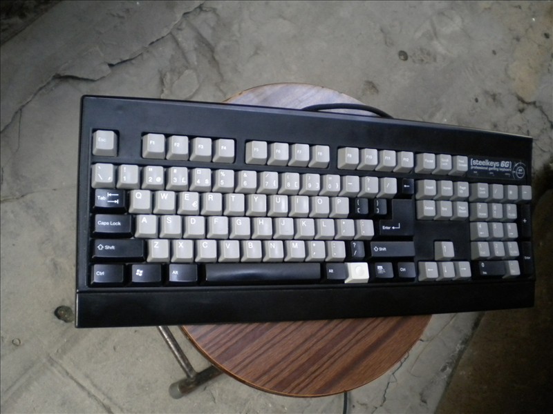 DSCN0955.JPG