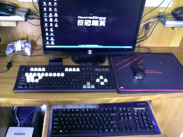 plum���̻������ˡ���Щ���ո���ҿ���