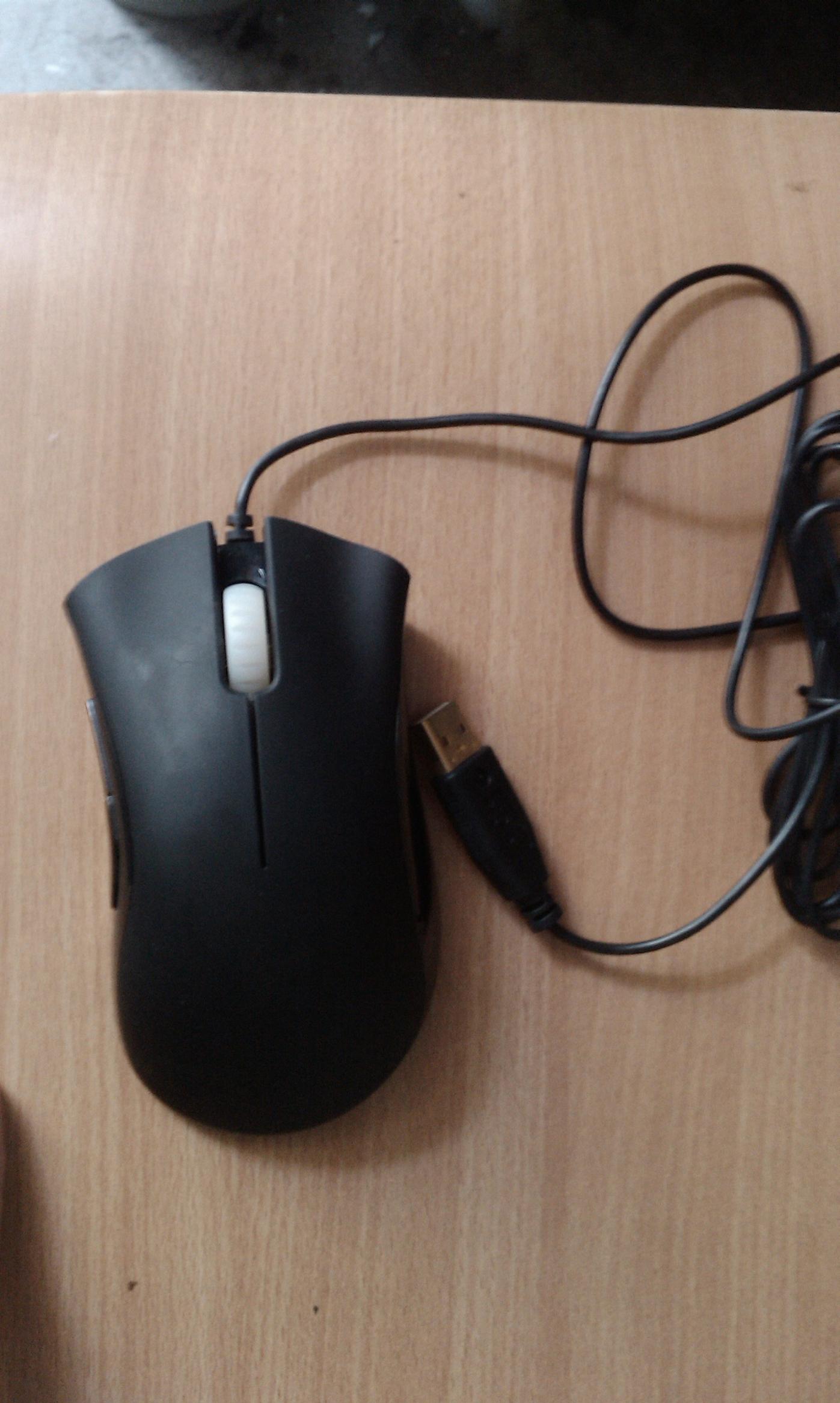 IMAG0367.jpg