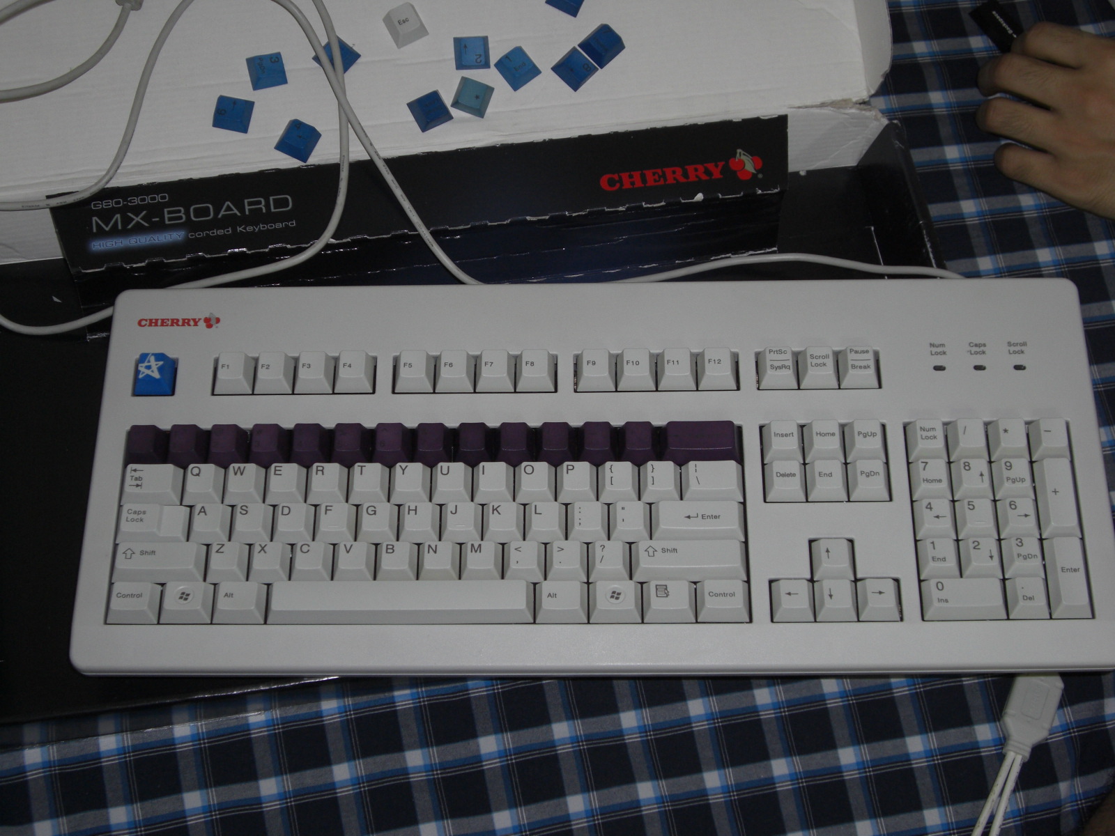 CIMG0017.JPG
