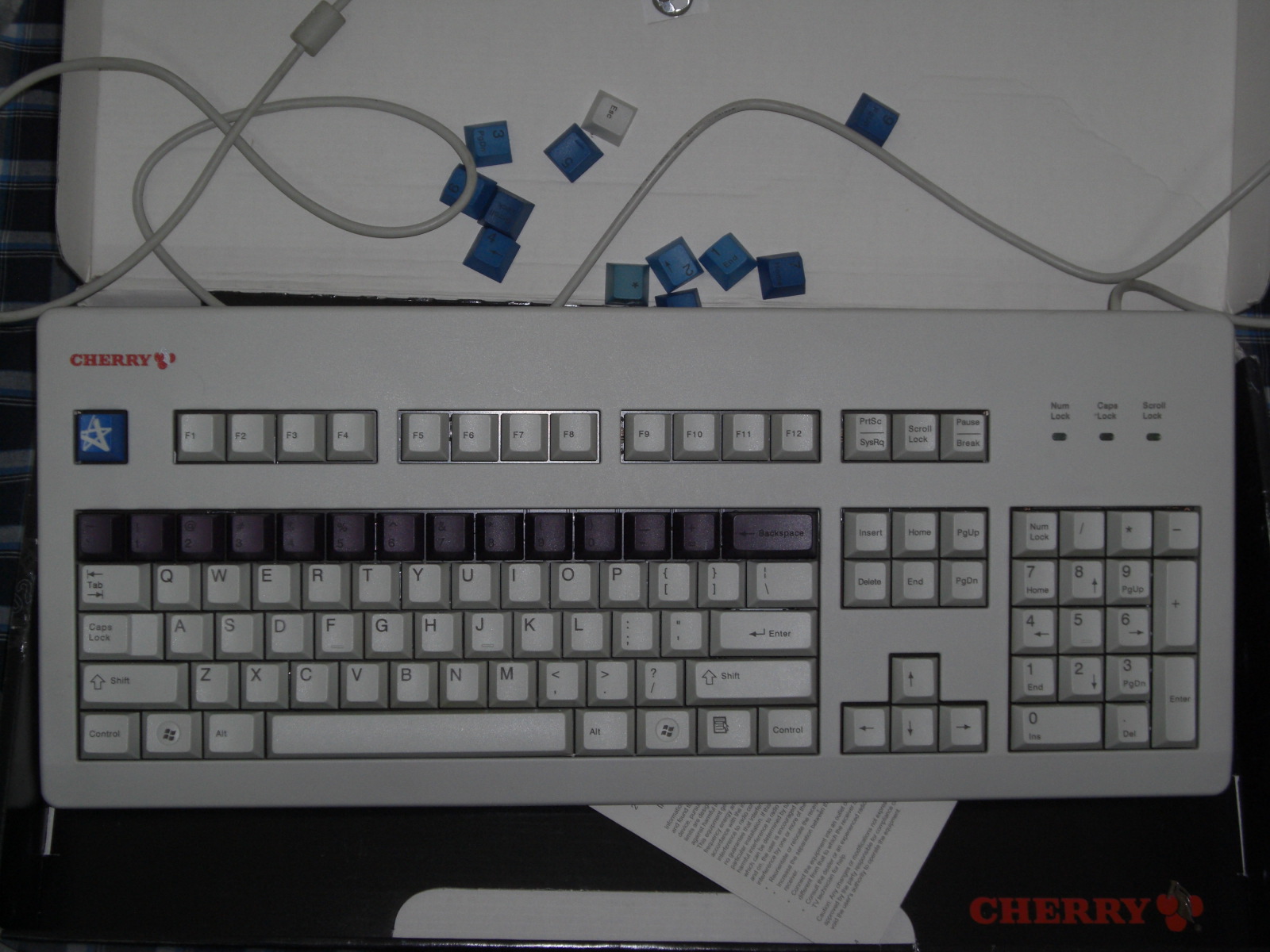 CIMG0011.JPG