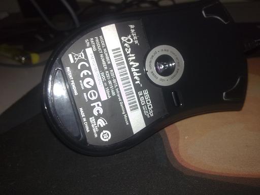 20100810219.jpg