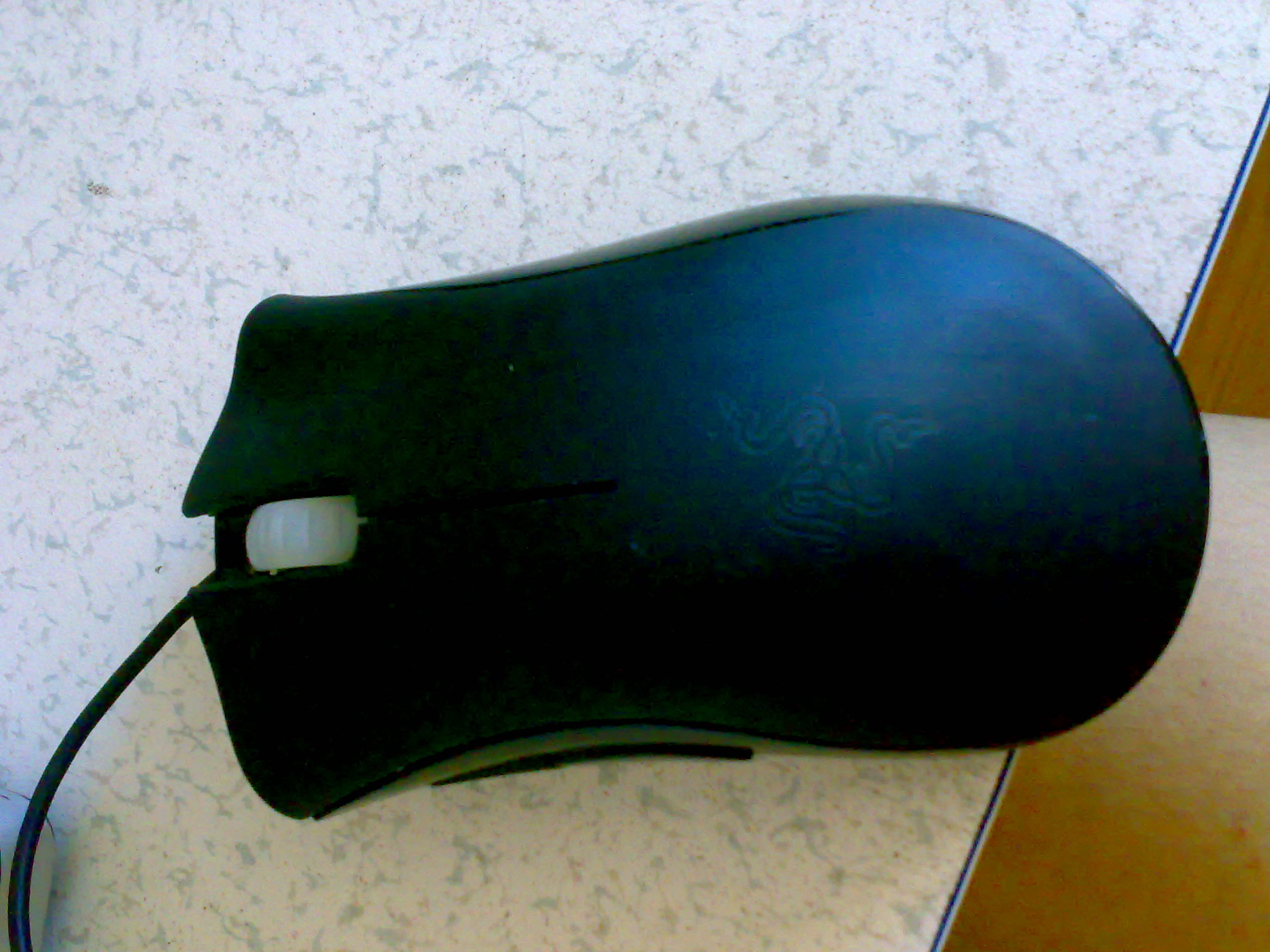 20100811126.jpg