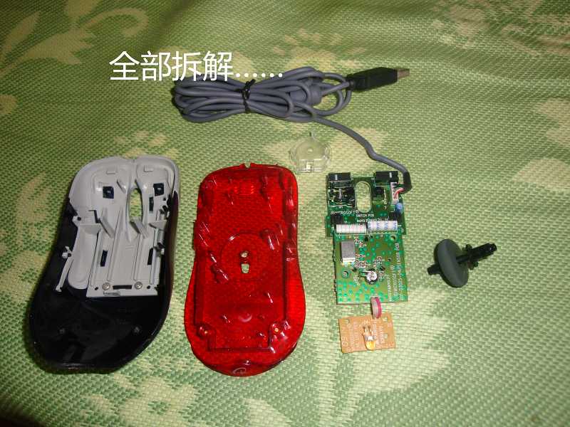 DSC04664.JPG