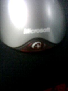 IMG0339A.jpg