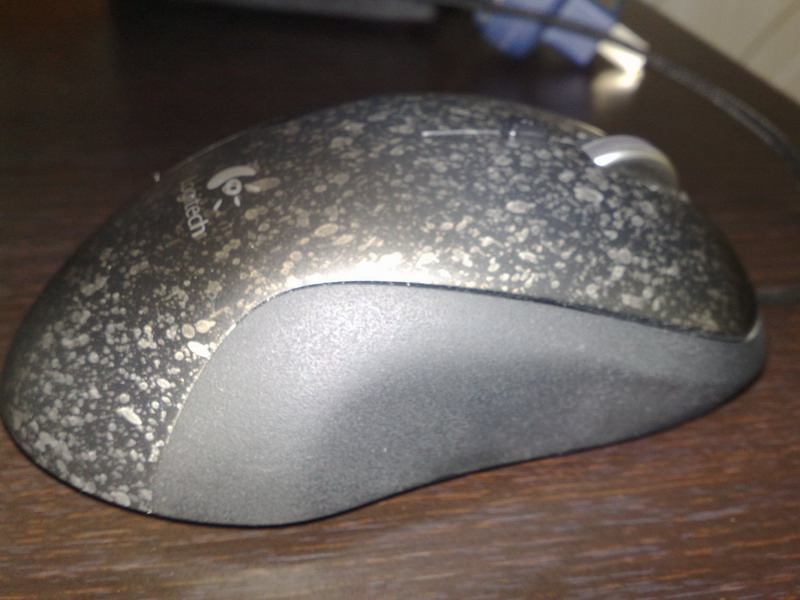 20100813561.jpg