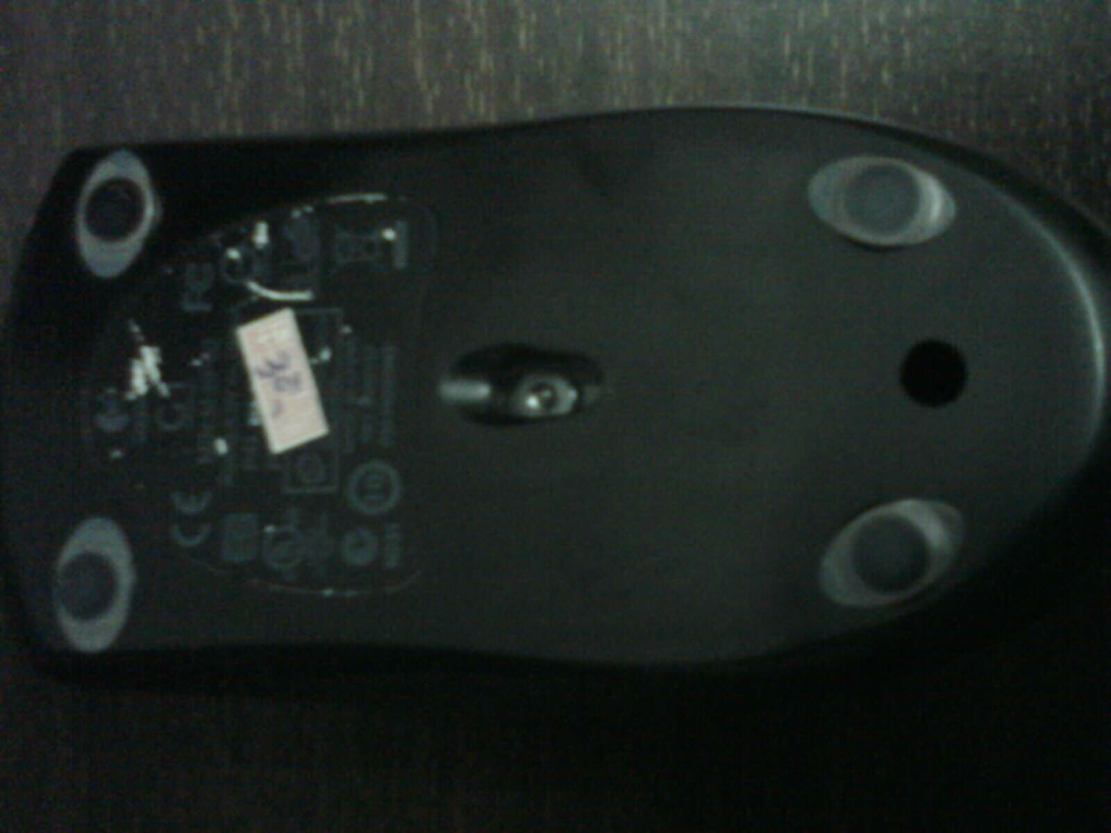IMAG0072.jpg
