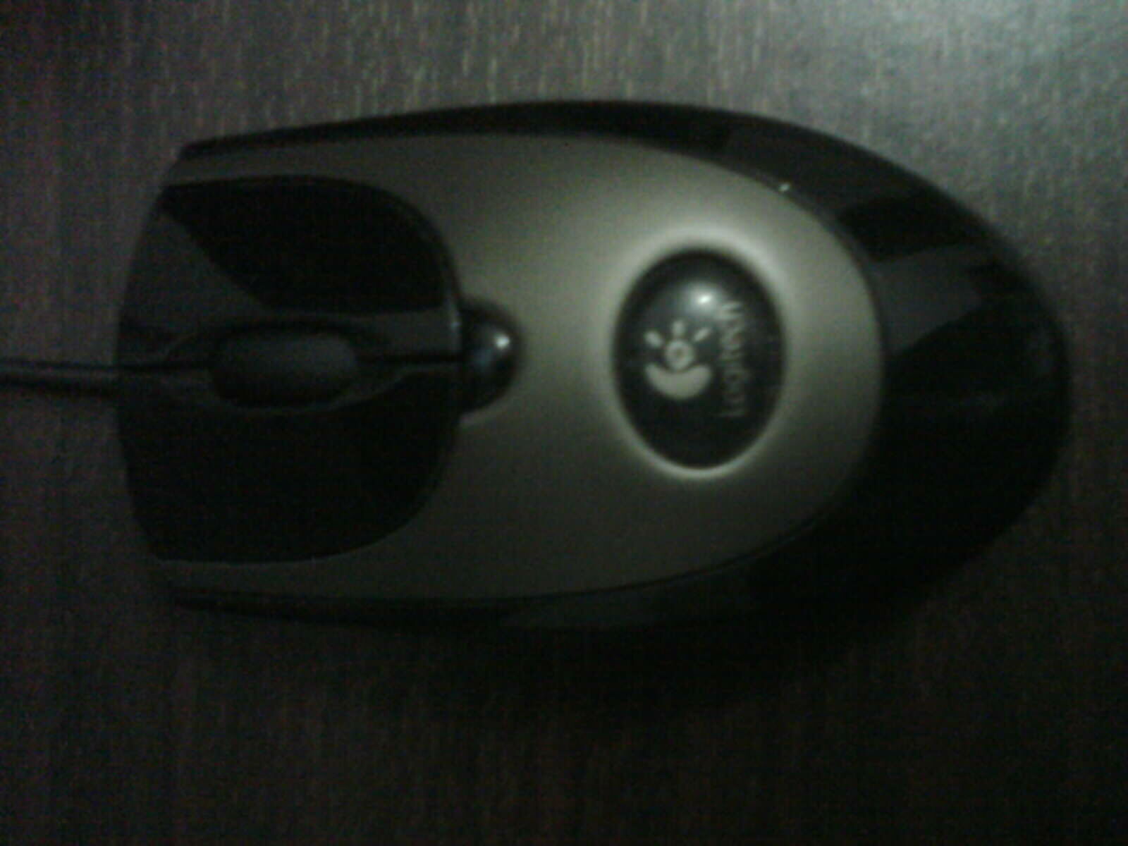 IMAG0071.jpg