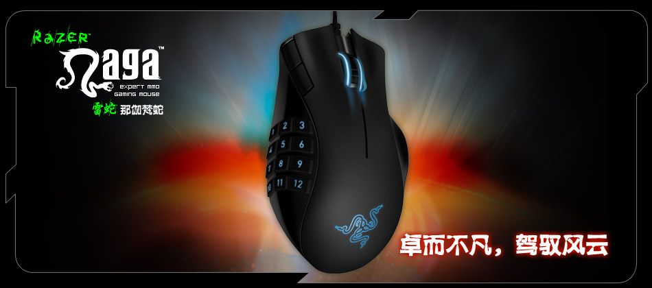 naga-cn.jpg