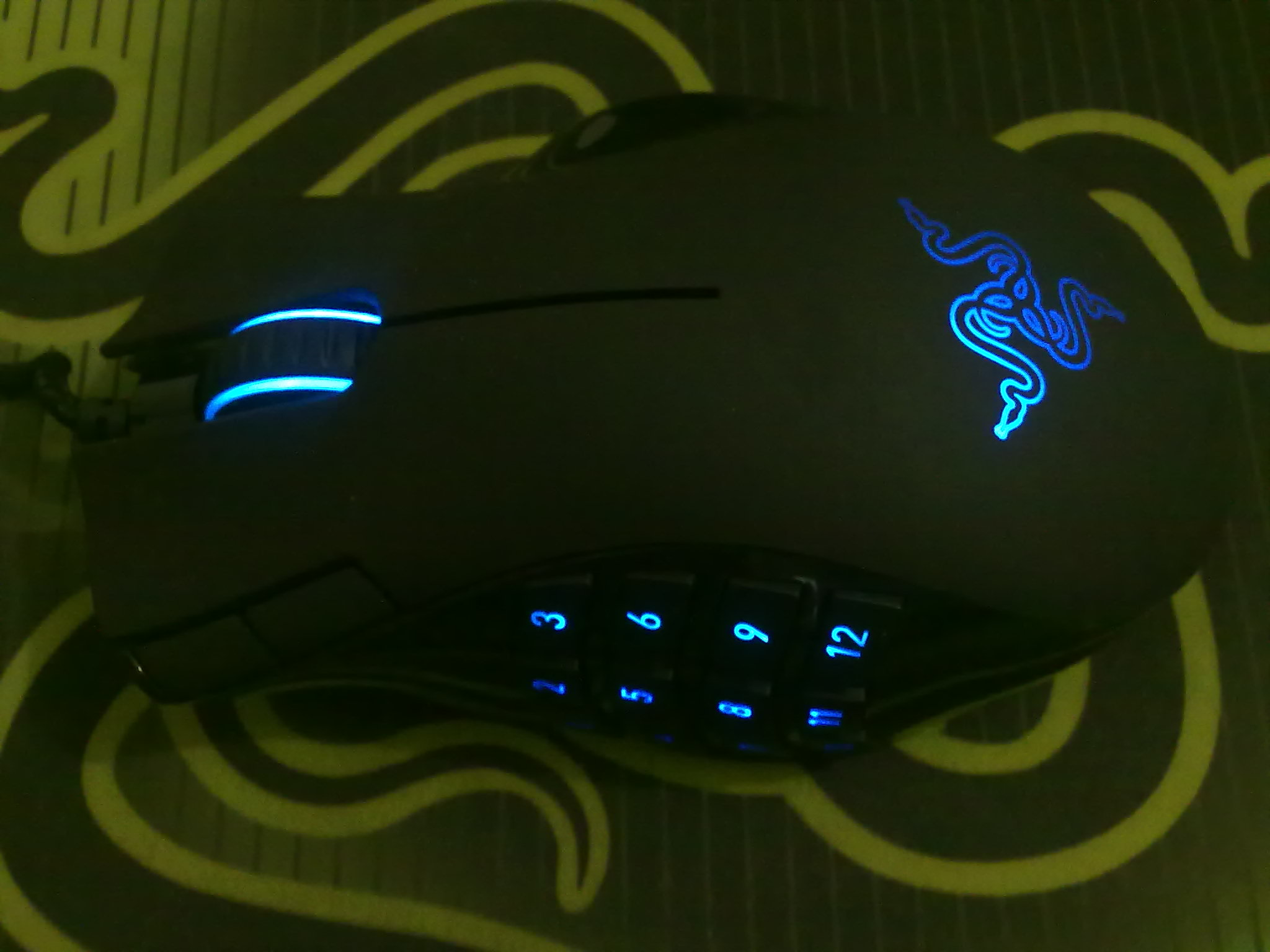 20100815018.jpg