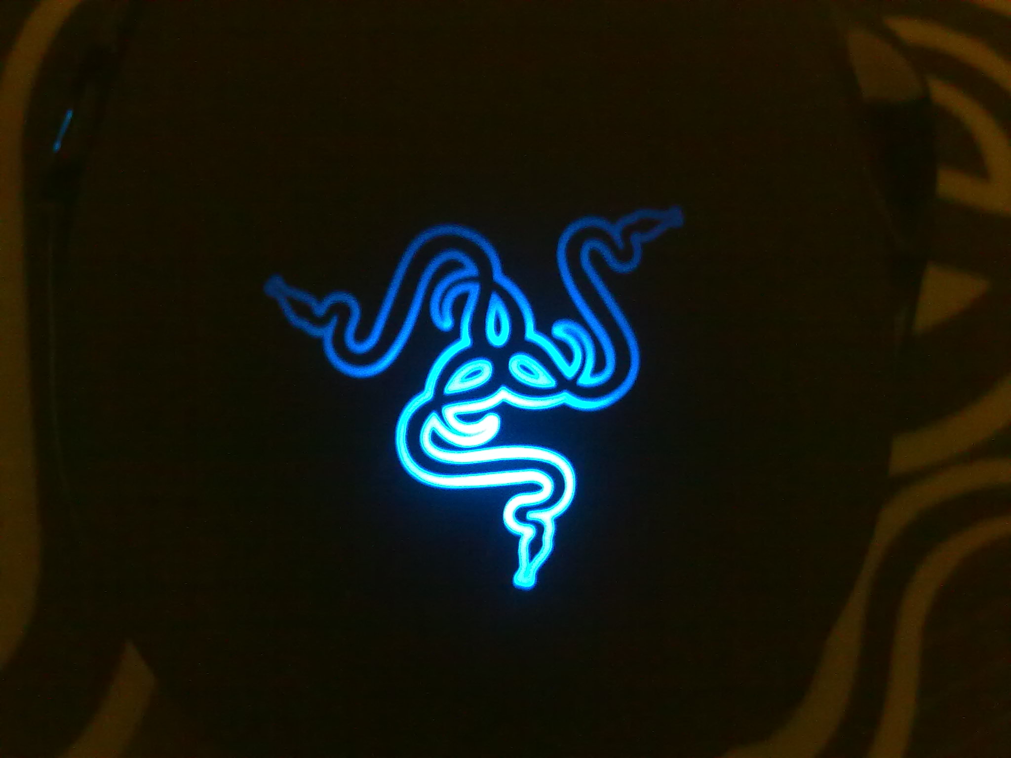 20100815023.jpg