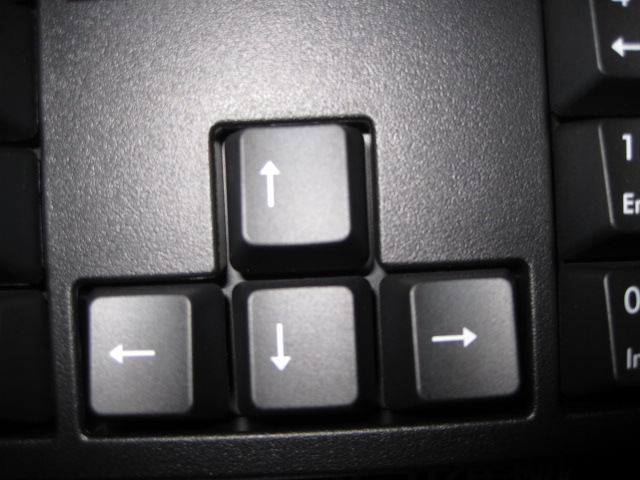 15.JPG
