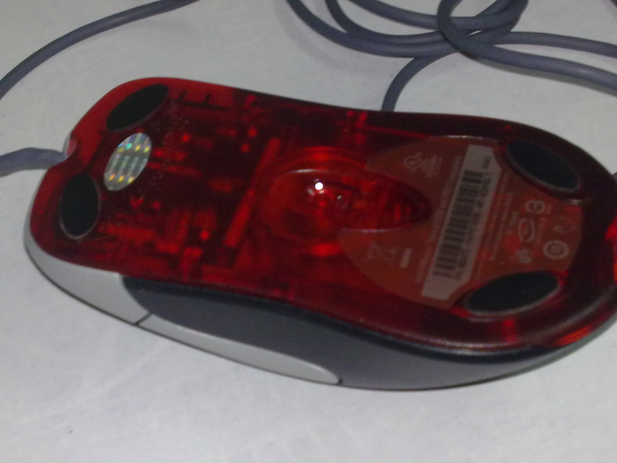 20100819151.jpg