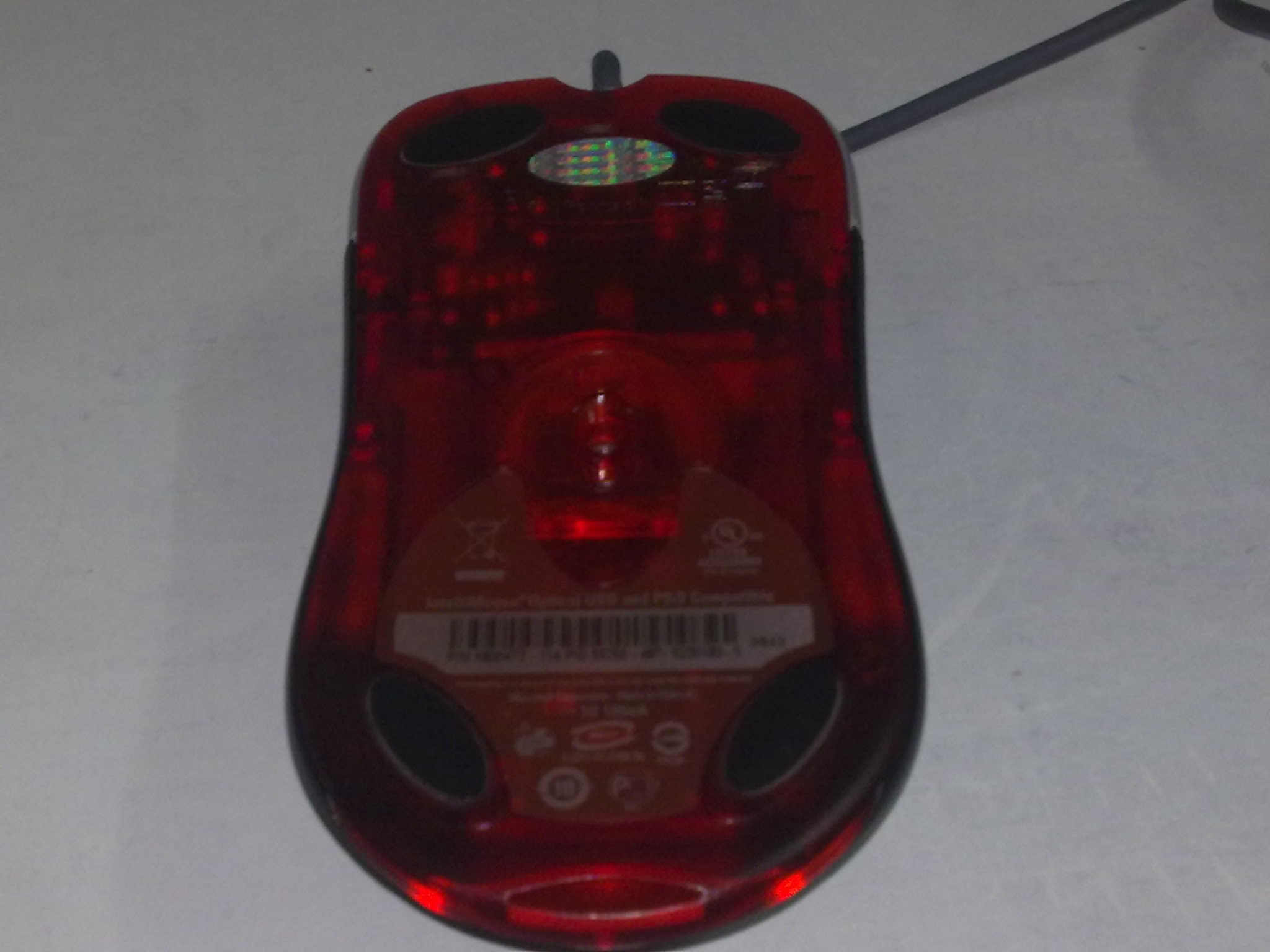 20100819150.jpg