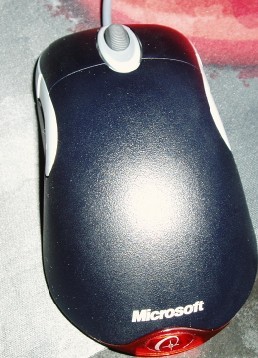 20100819_d9a35f572645e6cedd05z8wOHalZAPgw.jpg