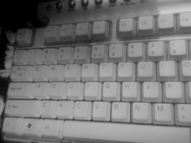 IMG0670A.jpg