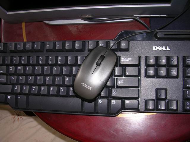 �ڵ�̯���������뵫��Ե��