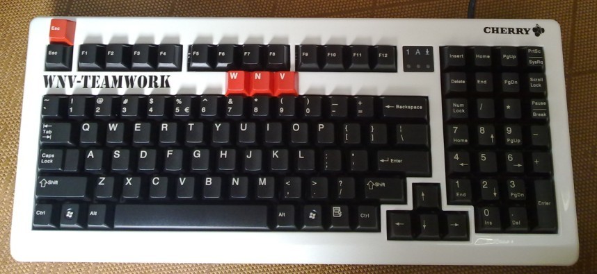 �����ѳ� ������wNv IE3.0����������� E95�ھ������