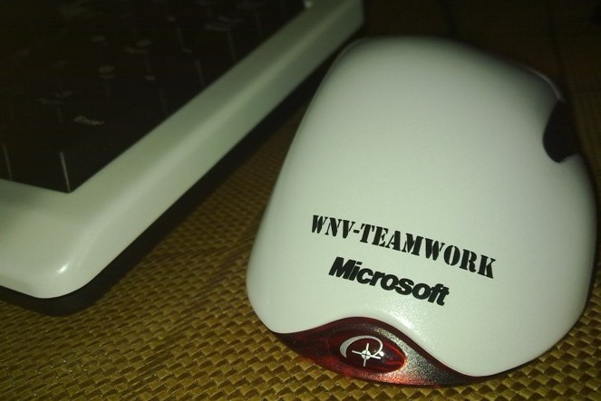 �����ѳ� ������wNv IE3.0����������� E95�ھ������
