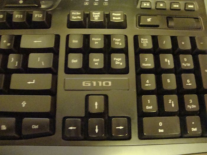 nEO_IMG_DSC03951.jpg