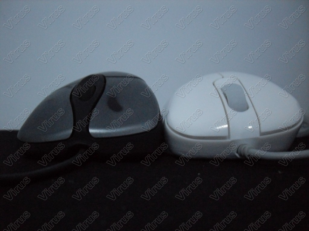 ΪcsɫEC1Ա