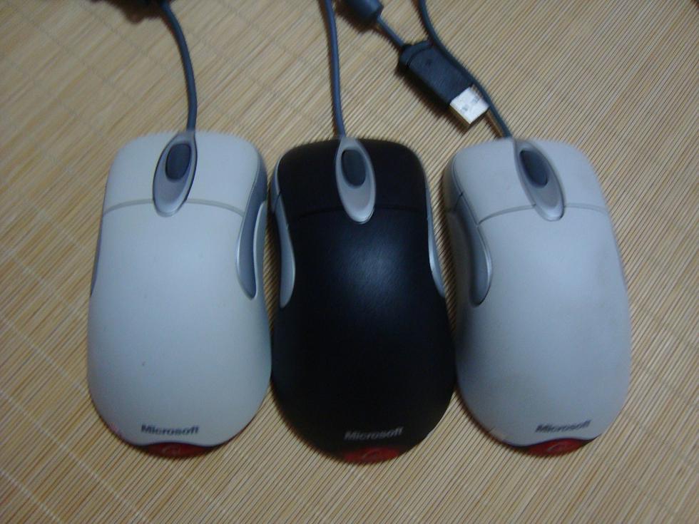 DSC01713.JPG