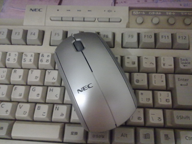 20100826101.jpg