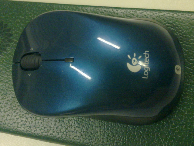 20100826091.jpg