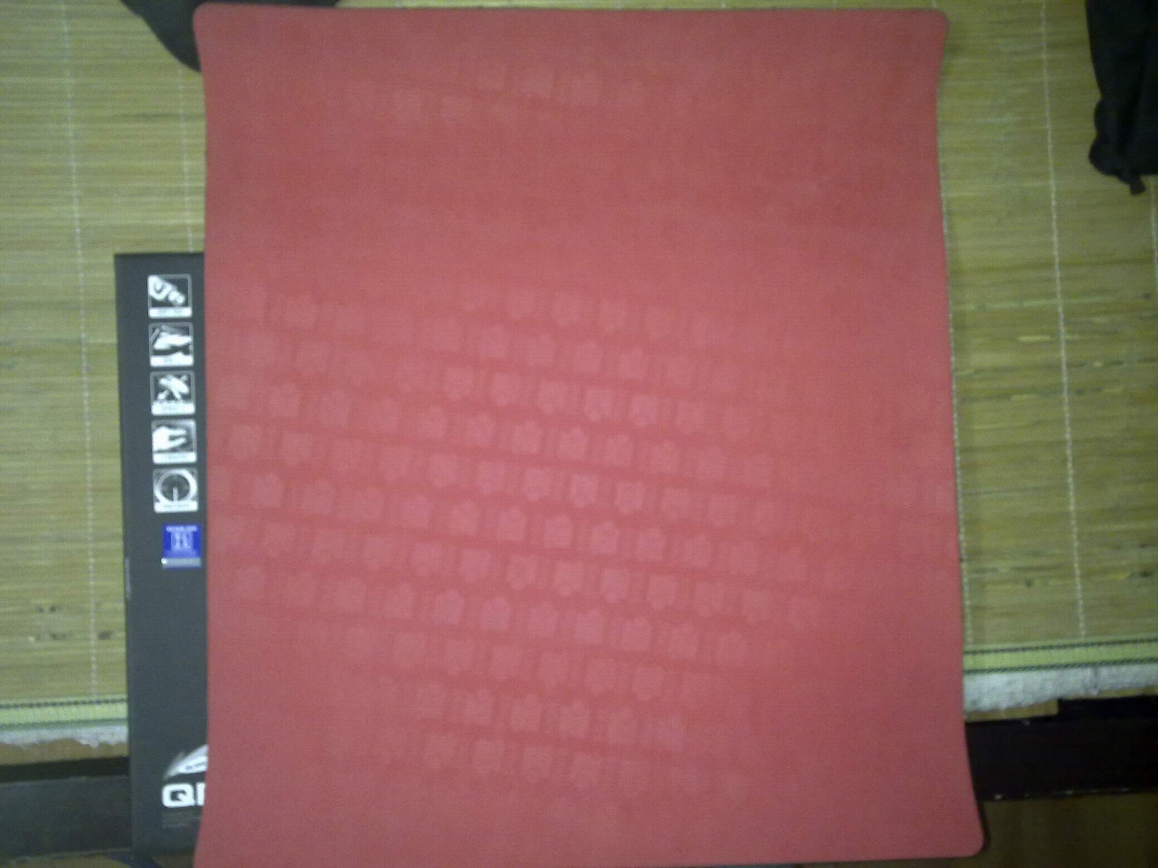 20100806064.jpg