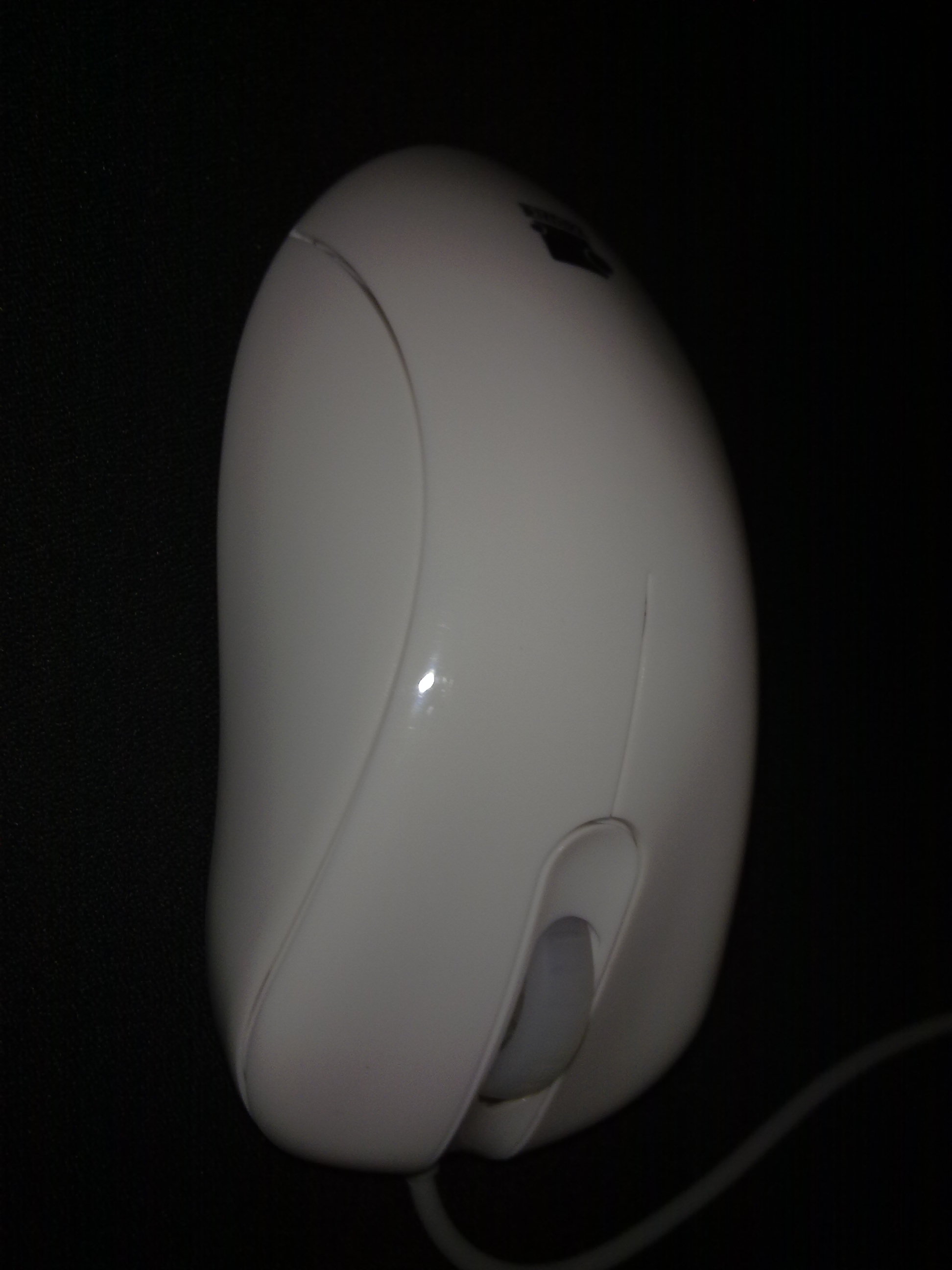 20100827081.jpg