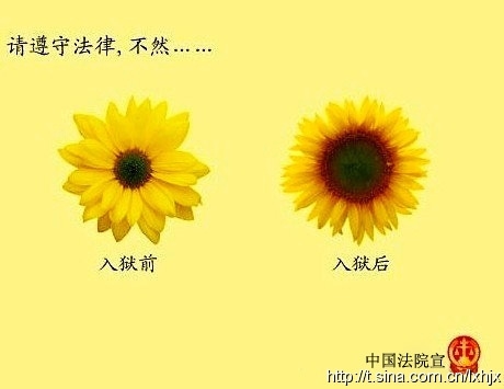 �� ���޵��Ǳ�������Ű
