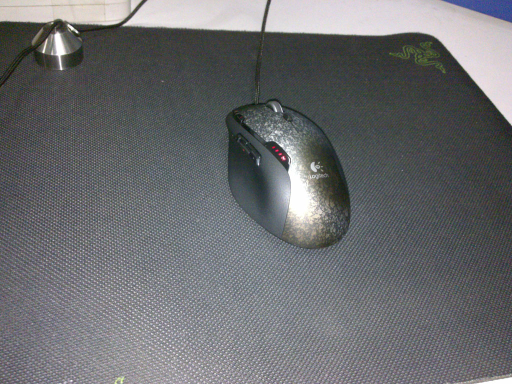 20100829319.jpg