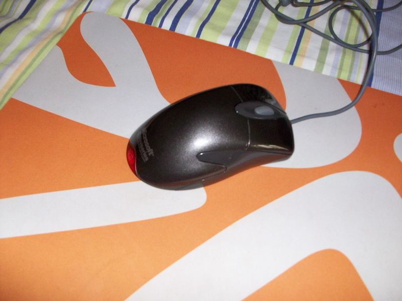 �ѳ�