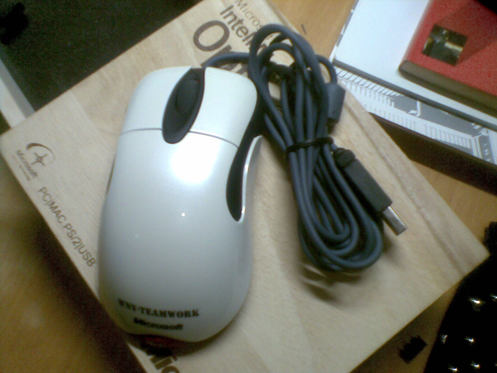20100825(008).jpg