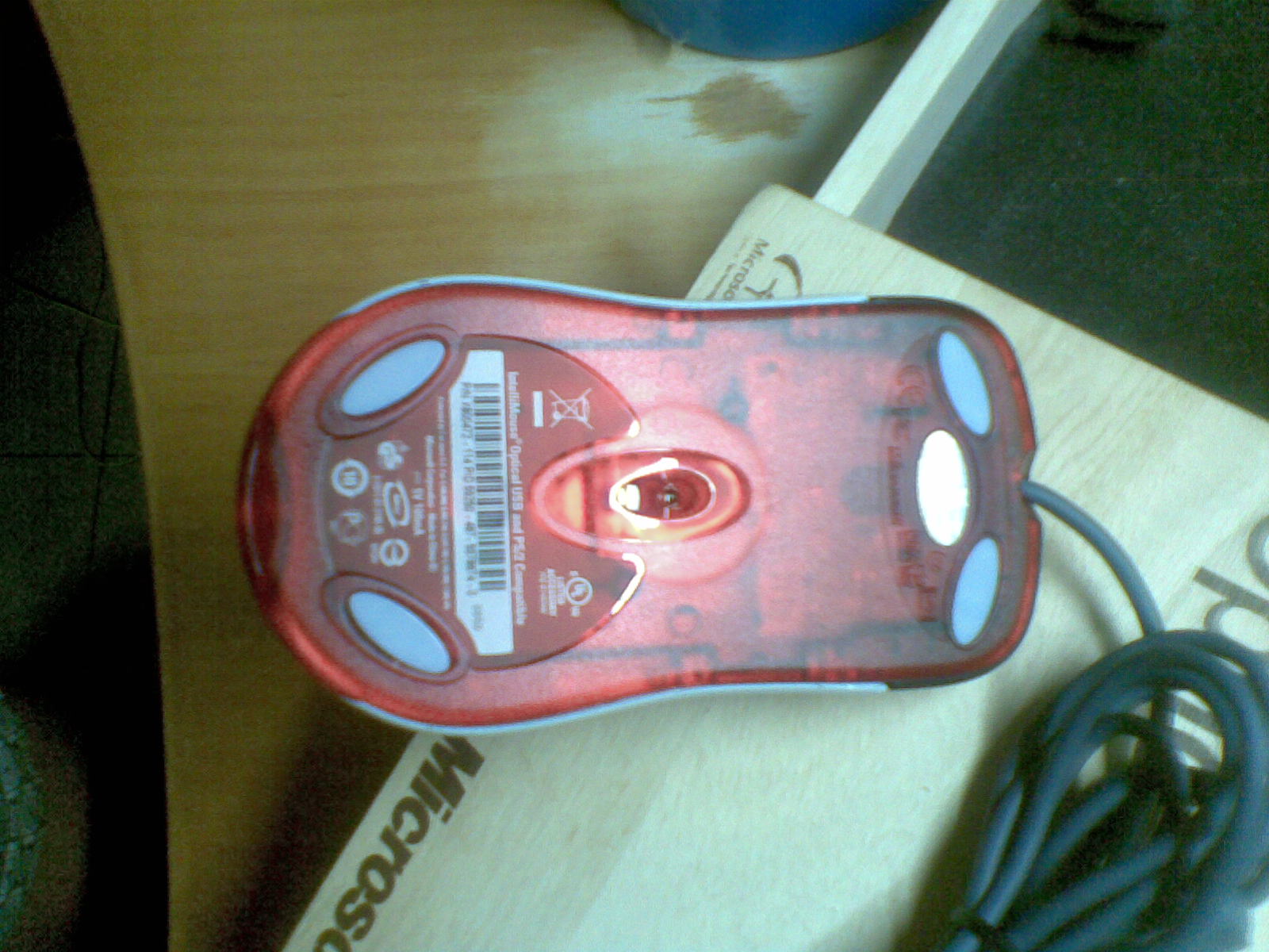 20100825(009).jpg