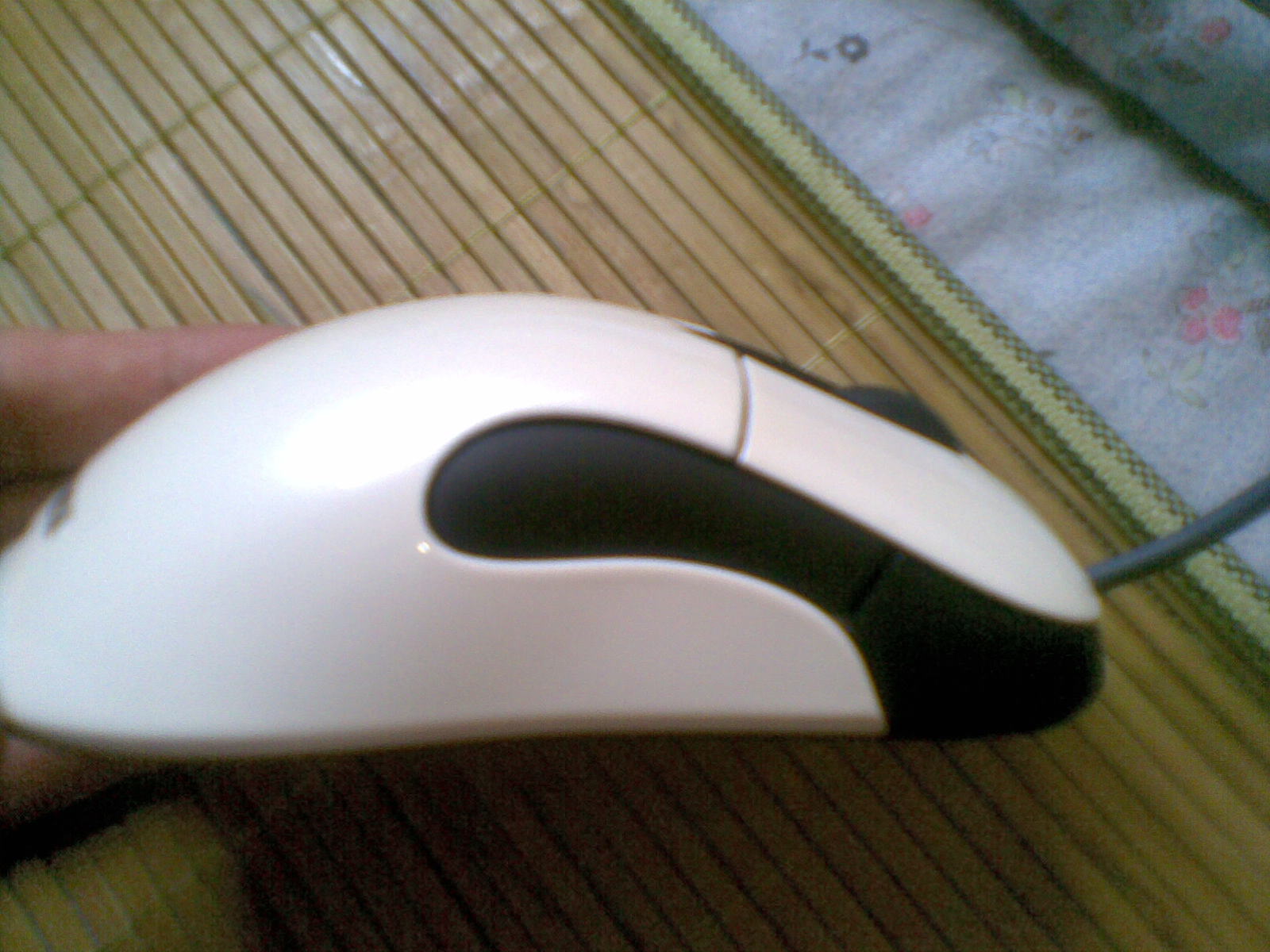 20100831(006).jpg