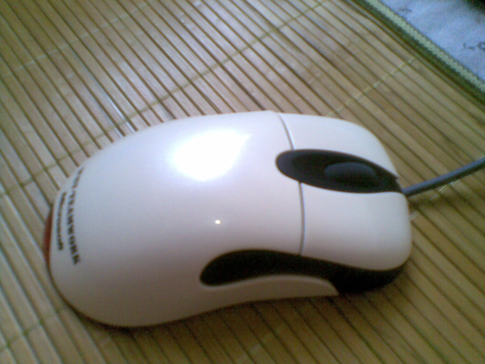 20100831(004).jpg