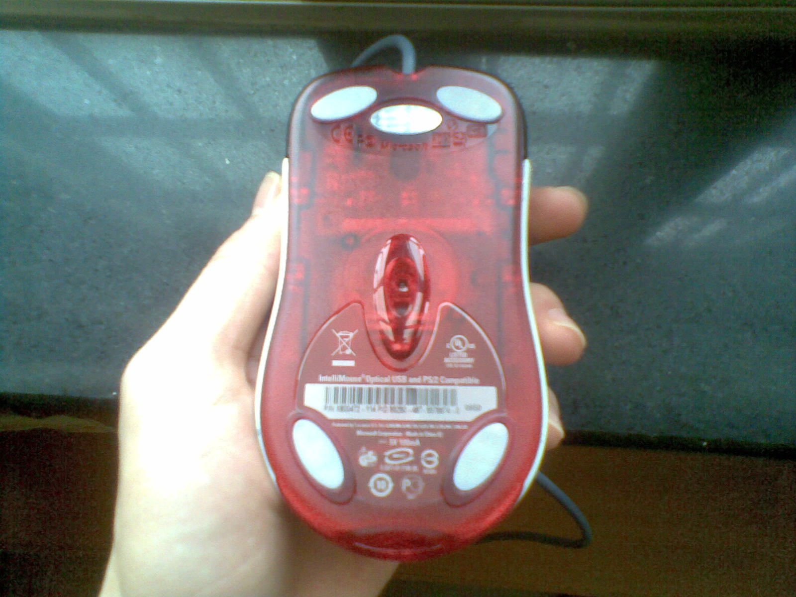 20100831(003).jpg