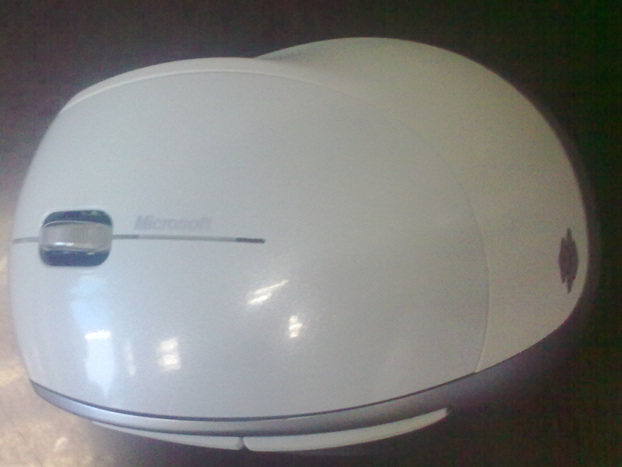 20100831124.jpg