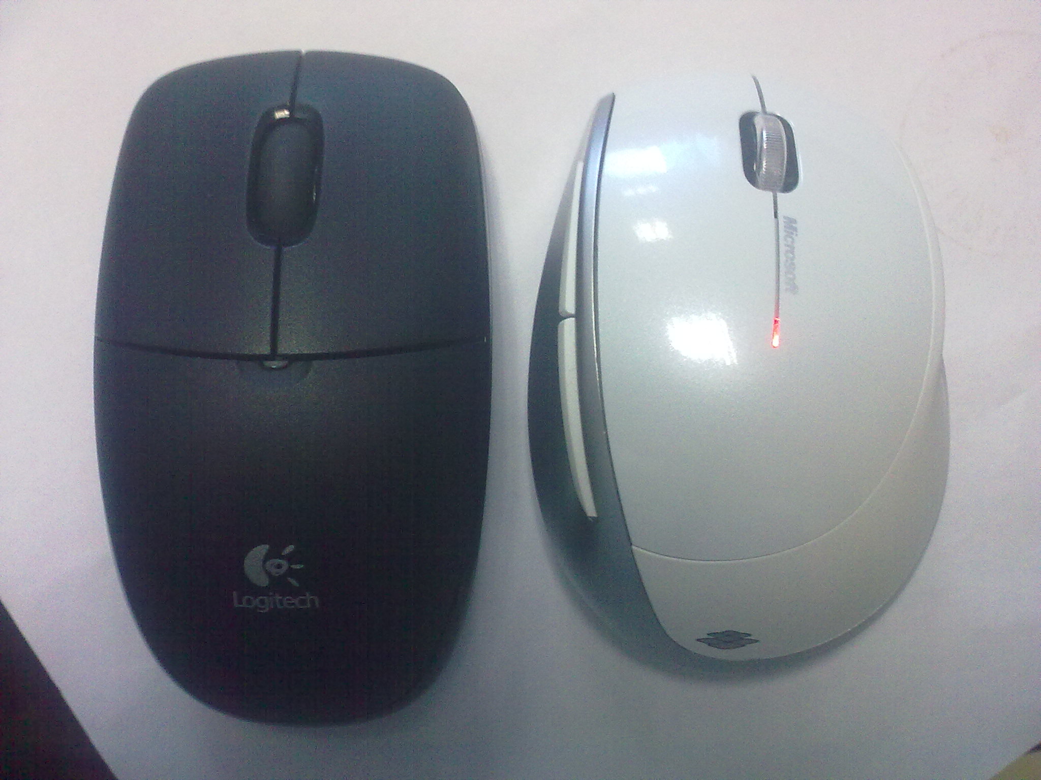 20100831137.jpg