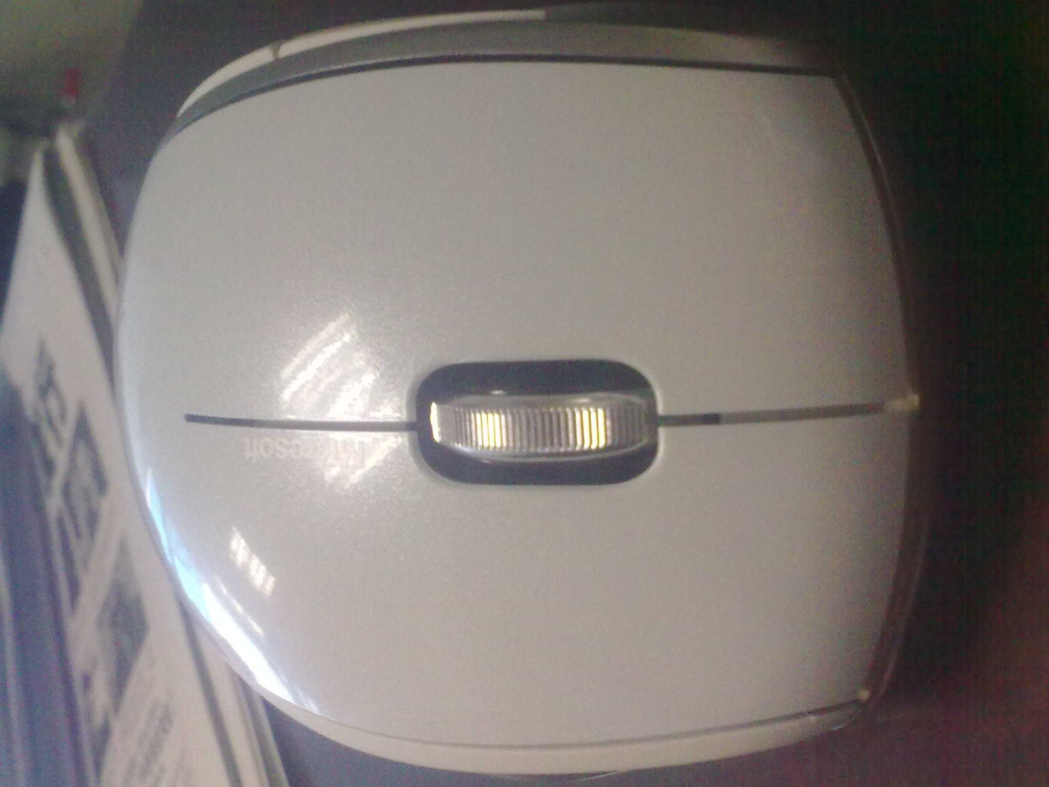 20100831126.jpg