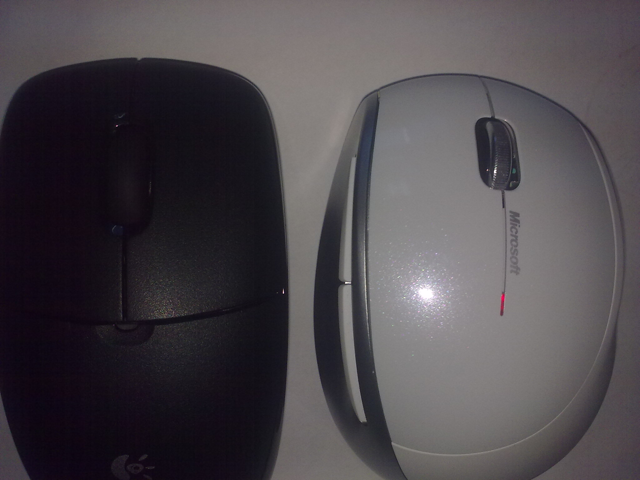 20100831138.jpg
