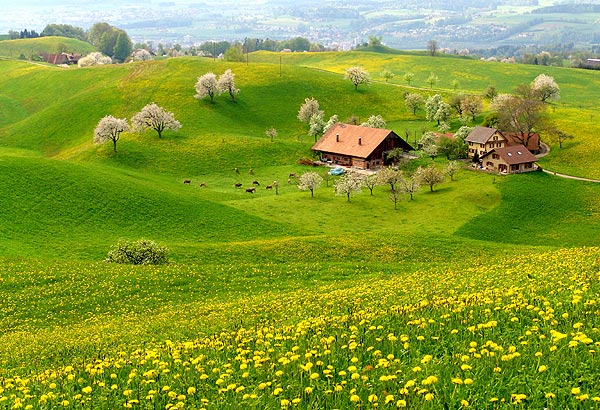 �����ˣ���ӭ��ס����С��ׯ��