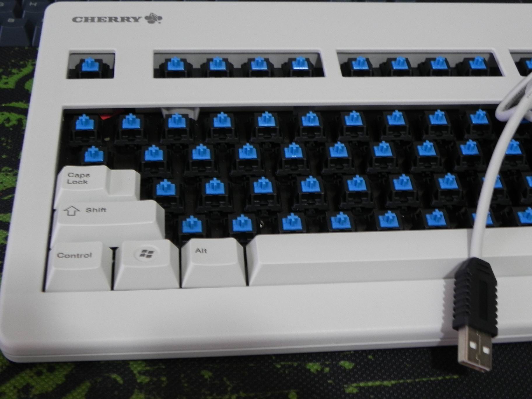 �����ۡ��Ե�50 �ӱ�����ñ��G80 3000 550$���ѳ�TG3 400$