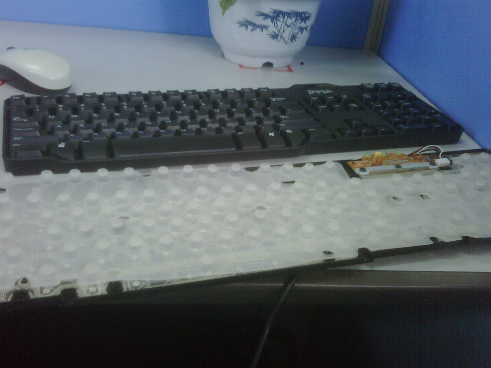 ܾû~~~DELLۼ̷㿴