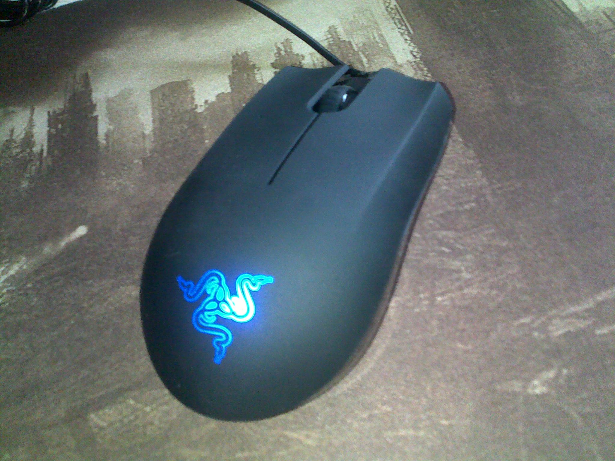 20100823404.jpg