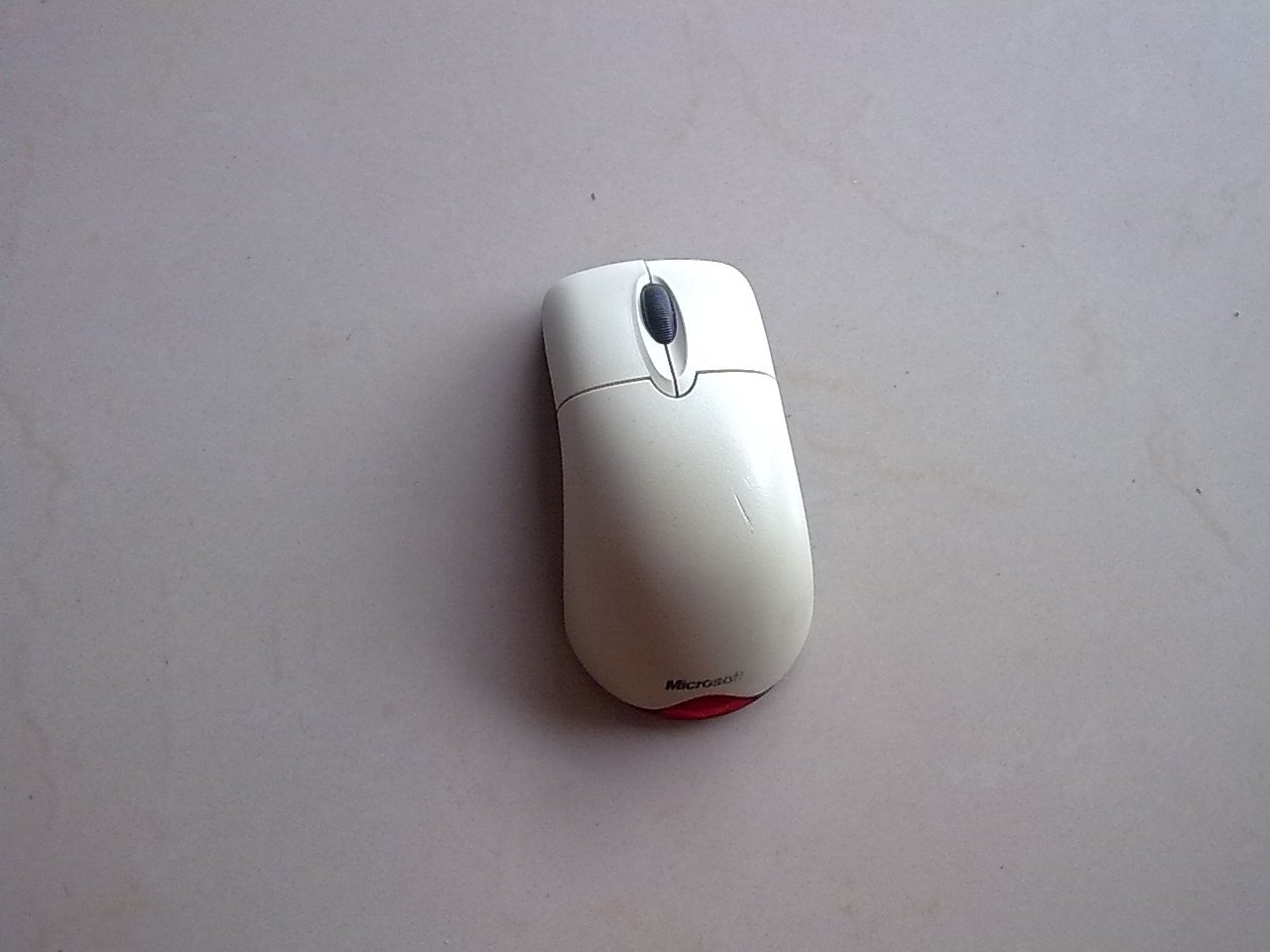 ���ݶ���~~~�����������ߣ���ʬ����ɡ��������ߵĸ�