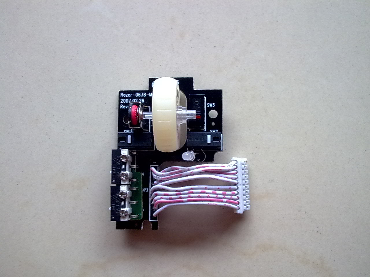 ���ݶ���~~~�����������ߣ���ʬ����ɡ��������ߵĸ�