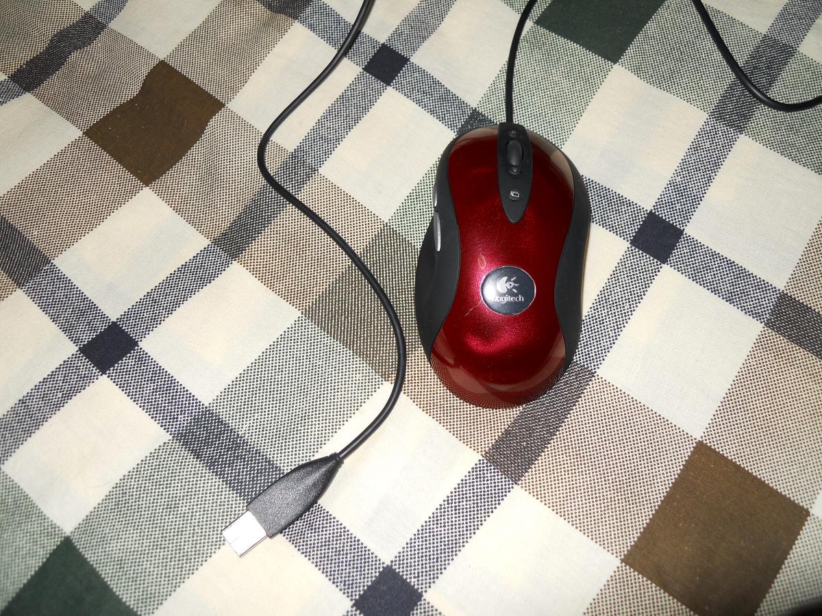 ħ�������������