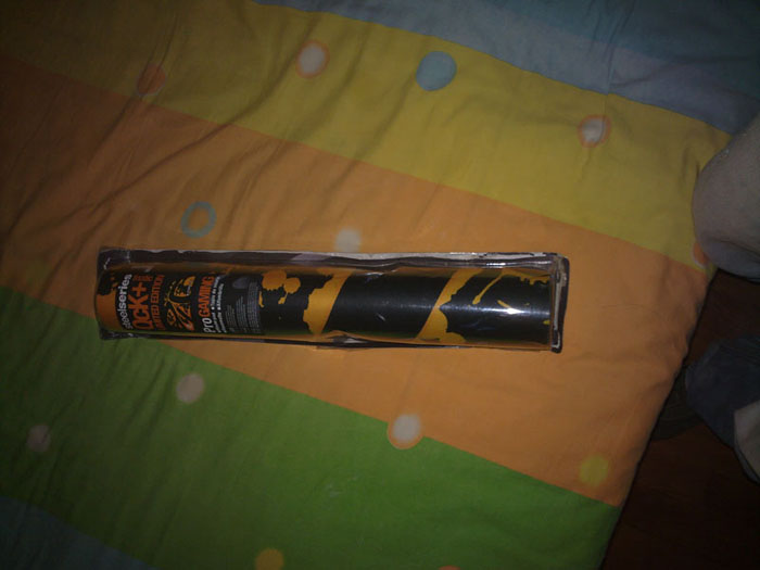 20100903100.jpg